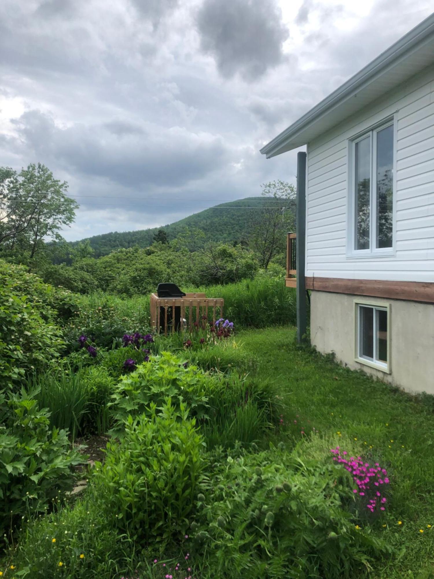 Chalets Les Chanterelles De Forillon L'Anse-au-Griffon 외부 사진
